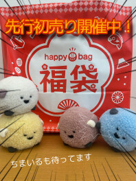 先行初売り！！まだ開催中ですよ！！